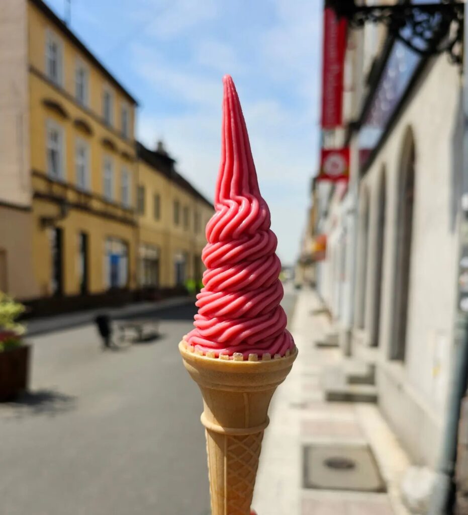 348616505_258155460058927_1022848348606749940_n